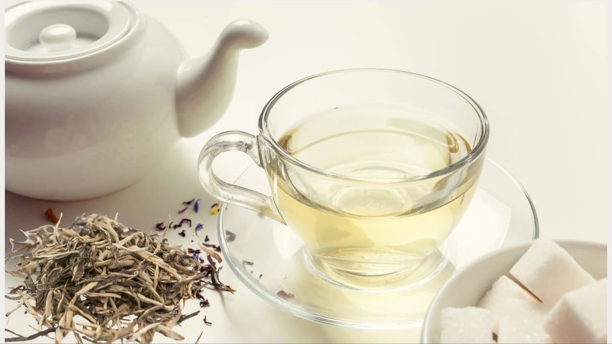 White Tea – The Purest and Most Elegant Tea for Your Wellness Journey
